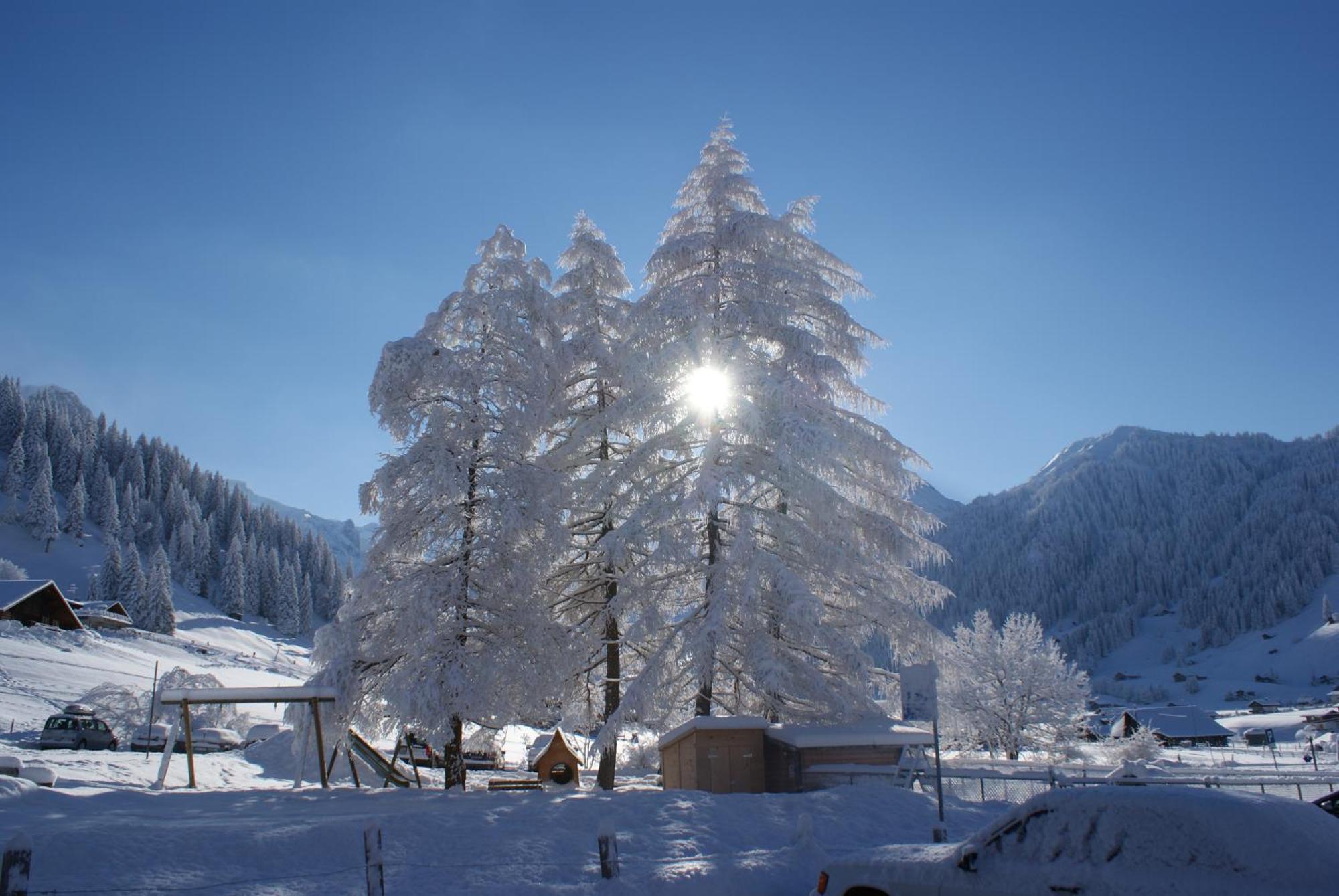 Ferien- Und Familienhotel Alpina Adelboden Luaran gambar